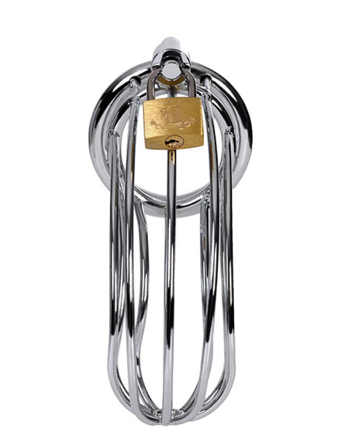 Пояс верности Funny Steel CHASTITY 1