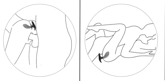 позы с анальной пробкой
