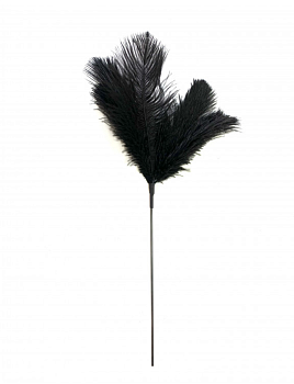 Щекоталка с перьями Amoreo BLACK